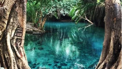 Voyage Tanzanie : safaris, plages et culture