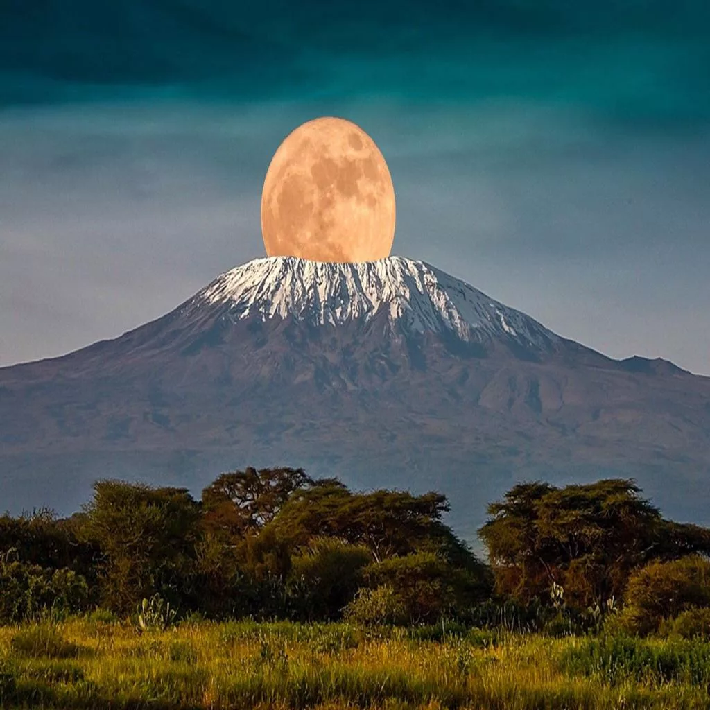 Safari classique Tanzanie — Noussouki Travel
