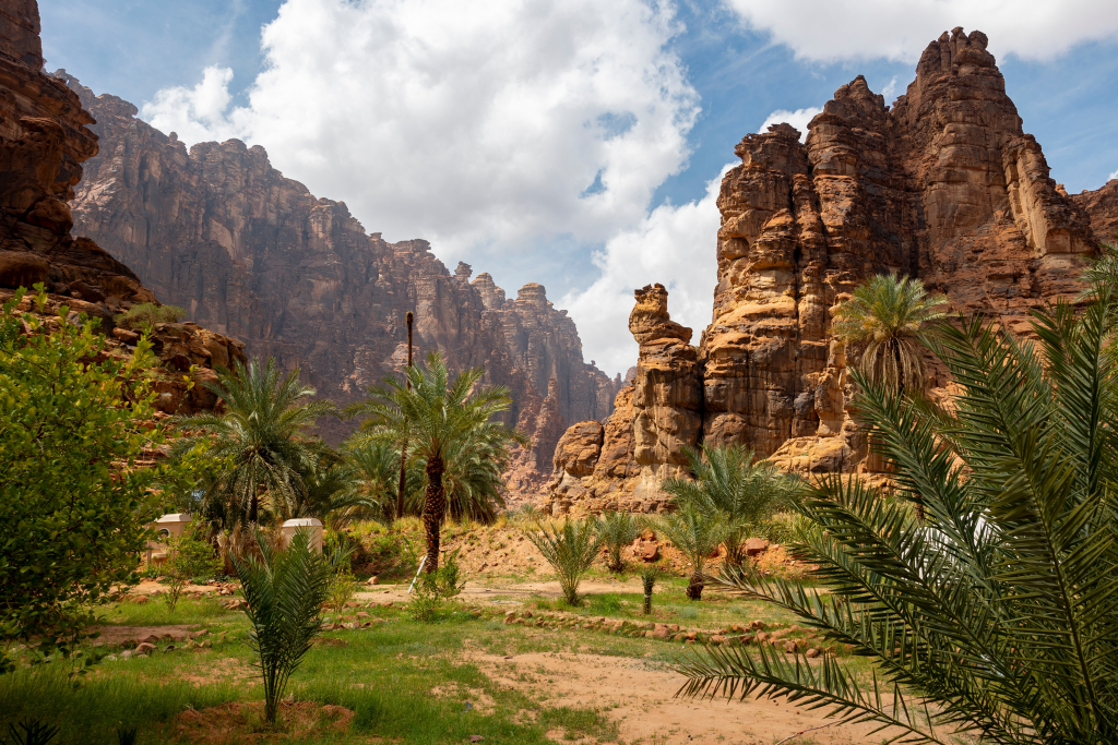 Circuit Djeddah, Tabuk, Taïf, Al Baha — Noussouki Travel