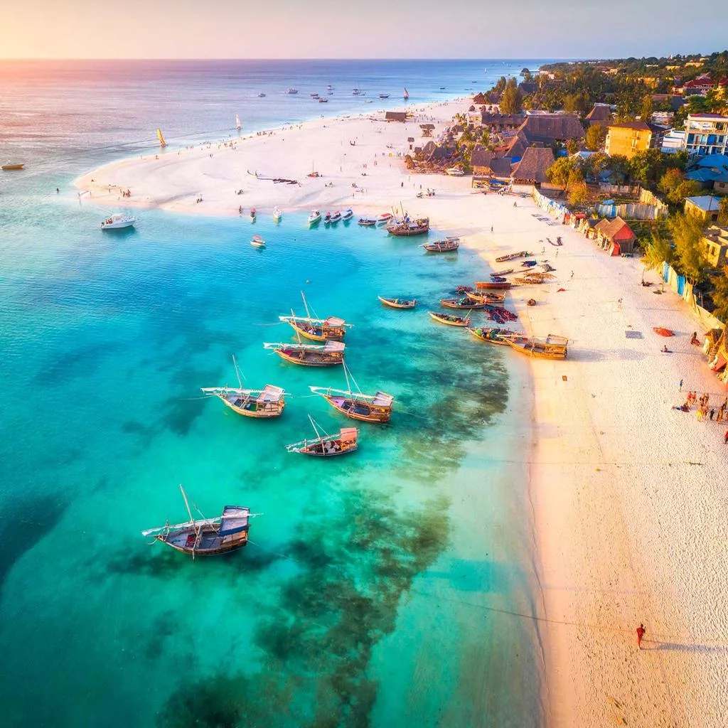 Safari fauves et Zanzibar — Noussouki Travel
